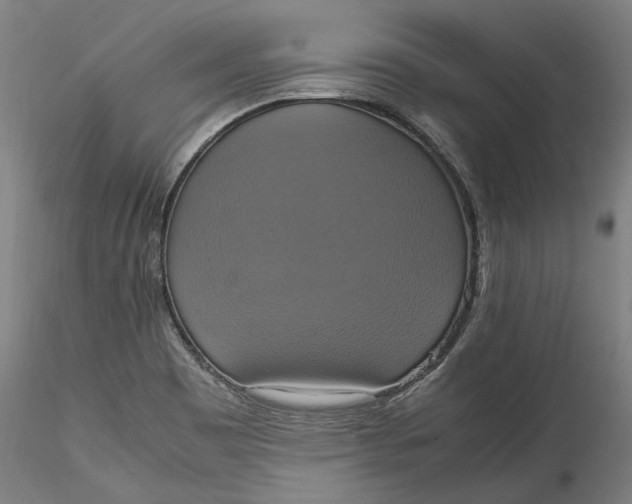 X0000115561465200911271445