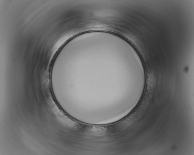 X0000115561466200911271445