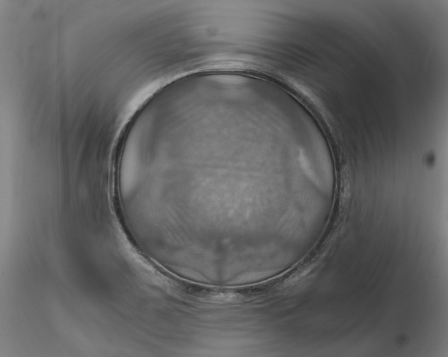 X0000115561467200911271445