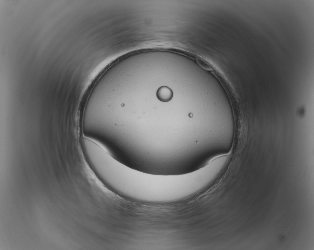 X0000115561468200911271445