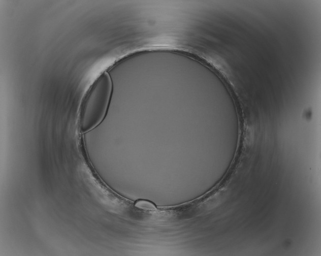 X0000115561469200911271445