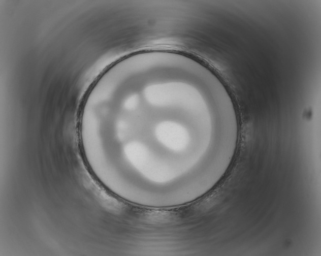 X0000115561470200911271445