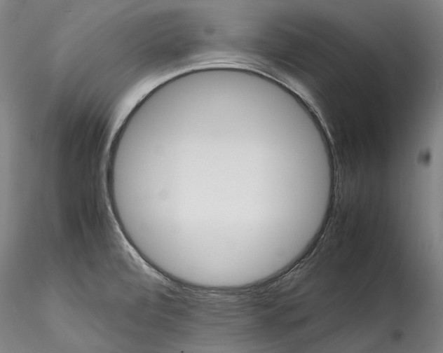 X0000115561472200911271445