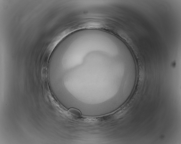 X0000115561473200911271445