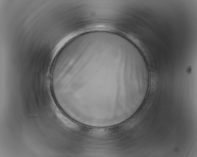 X0000115561474200911271445