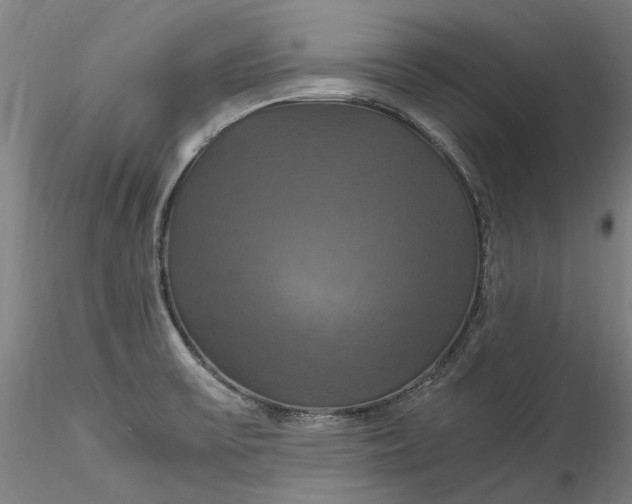 X0000115561475200911271445