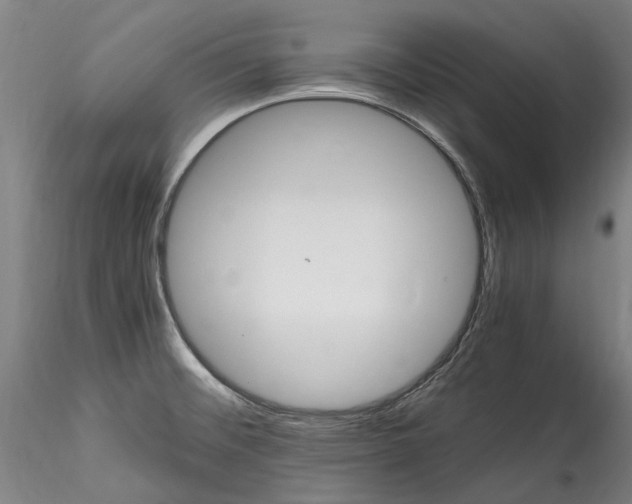 X0000115561476200911271445