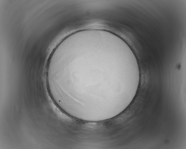 X0000115561478200911271445