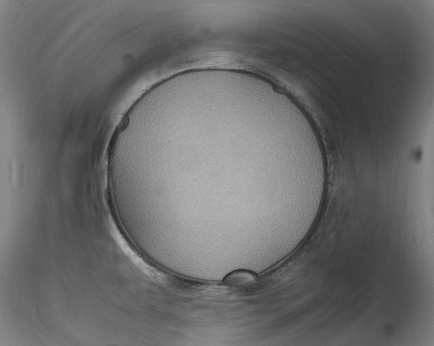 X0000115561479200911271445