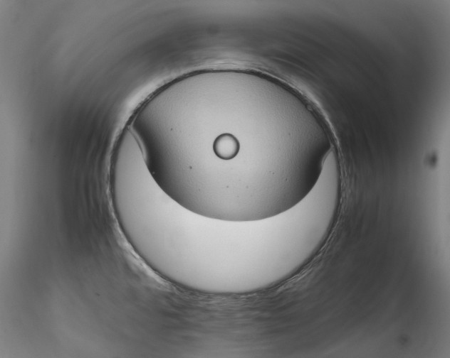 X0000115561480200911271445