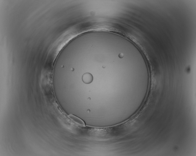 X0000115561481200911271445