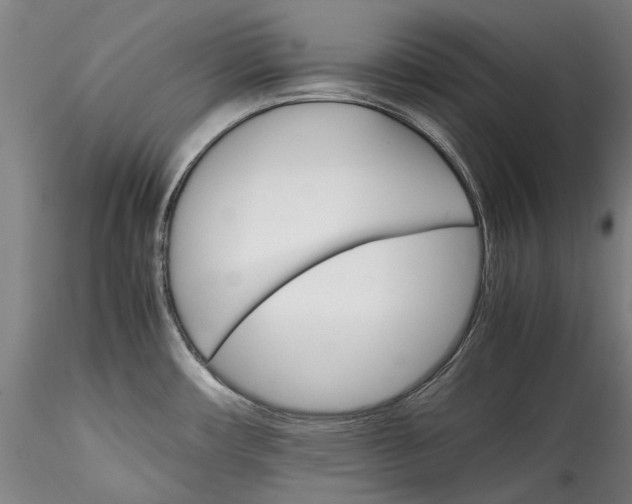 X0000115561482200911271445