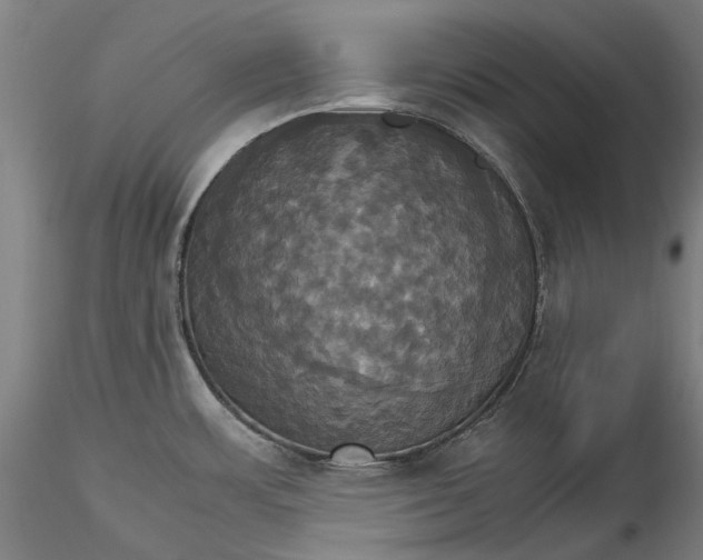 X0000115561483200911271445