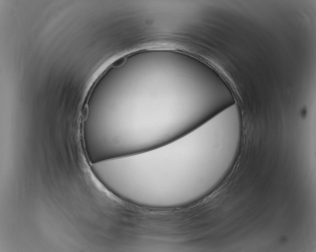 X0000115561484200911271445