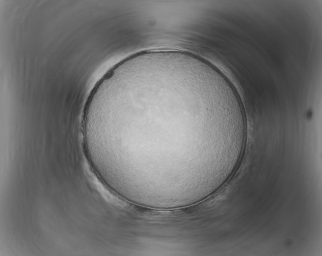 X0000115561485200911271445