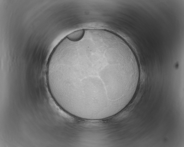 X0000115561486200911271445