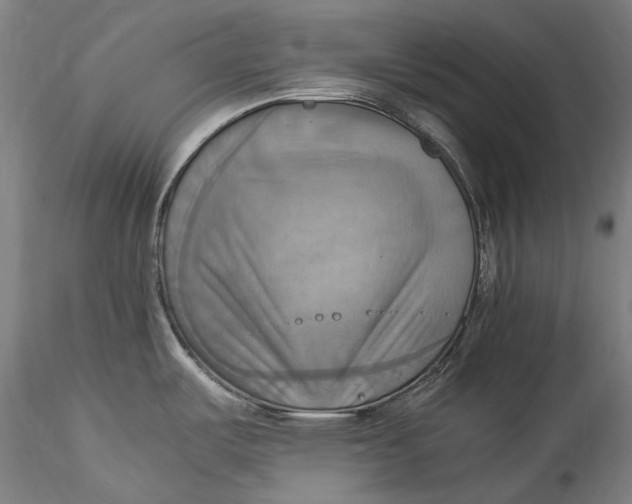 X0000115561487200911271445