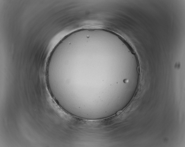 X0000115561488200911271445