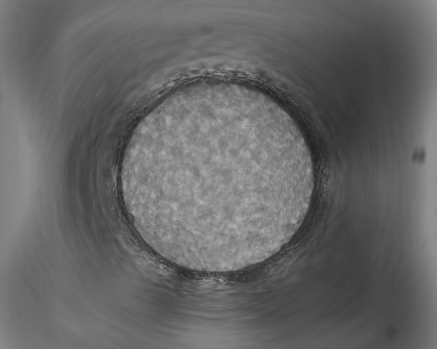 X0000115561489200911271444