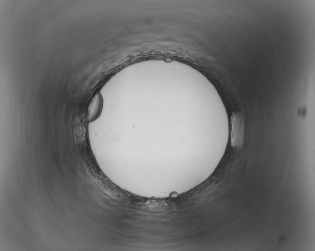 X0000115561491200911271444