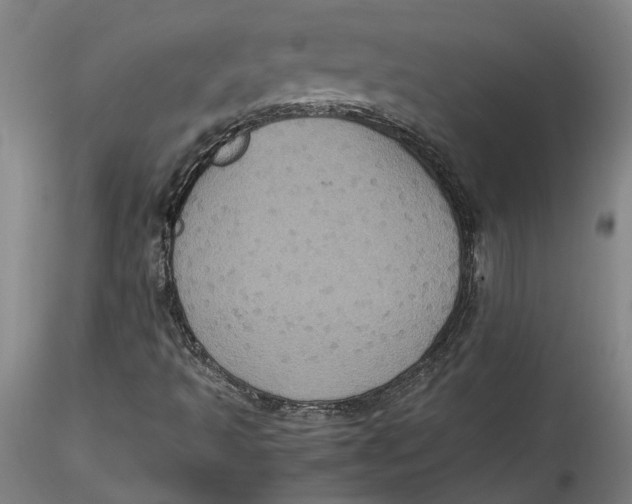 X0000115561493200911271444