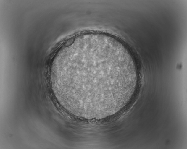 X0000115561494200911271444