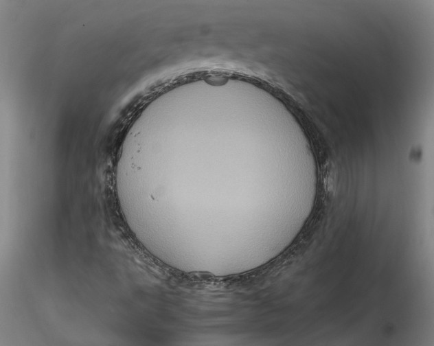 X0000115561495200911271444