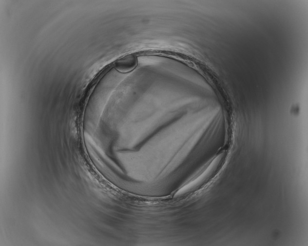 X0000115561497200911271445