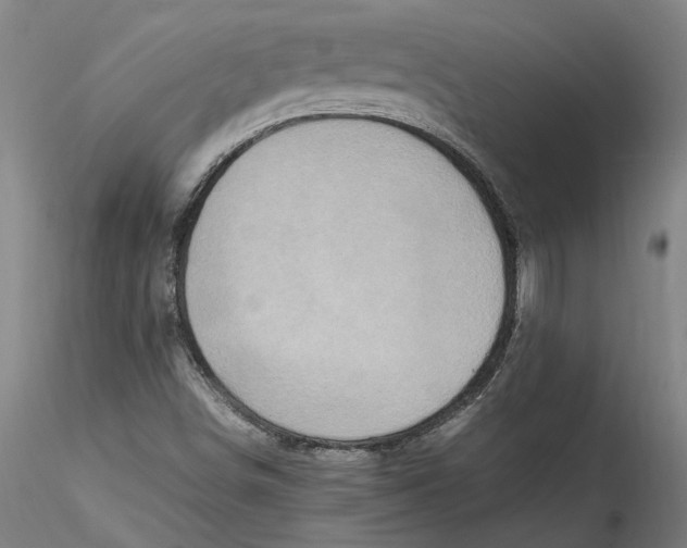 X0000115561498200911271445