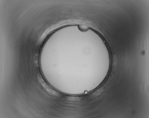 X0000115561499200911271445