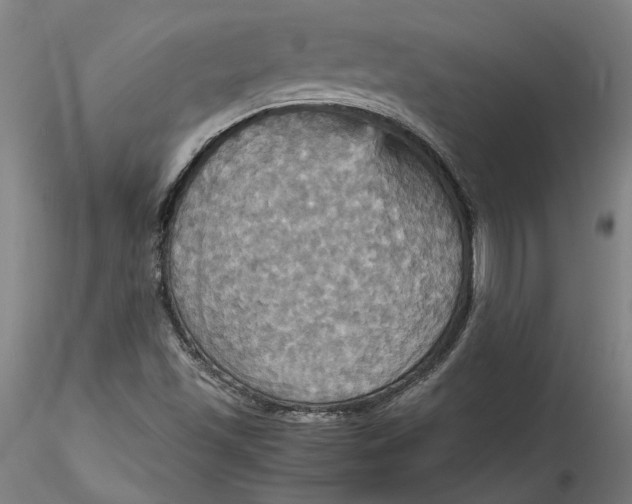 X0000115561501200911271445