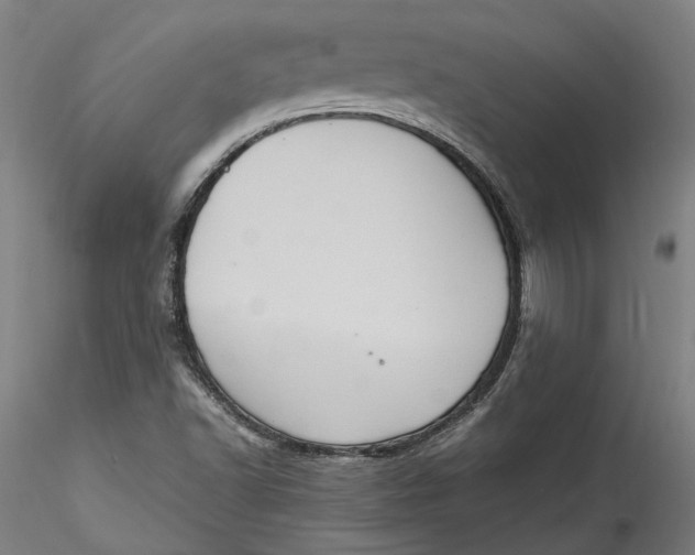 X0000115561502200911271445