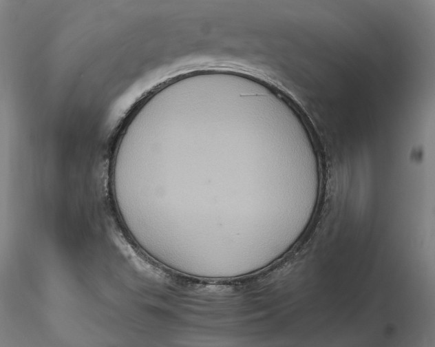 X0000115561503200911271445