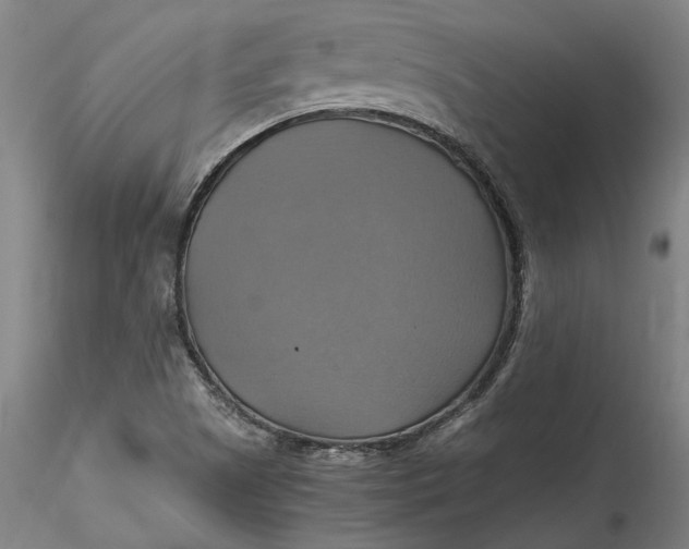 X0000115561505200911271445