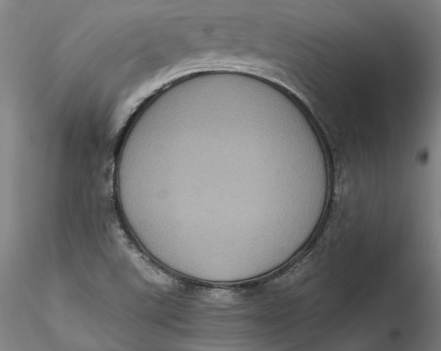 X0000115561507200911271445