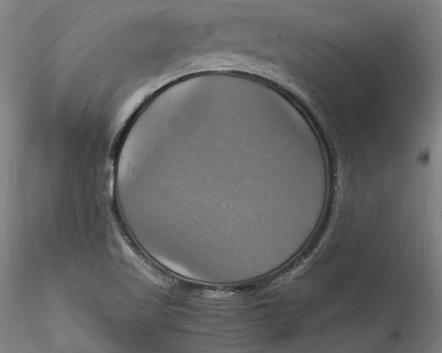 X0000115561509200911271445