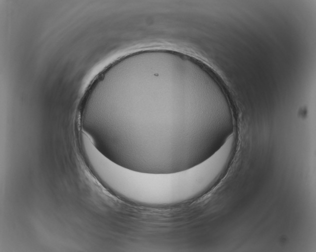 X0000115561510200911271445