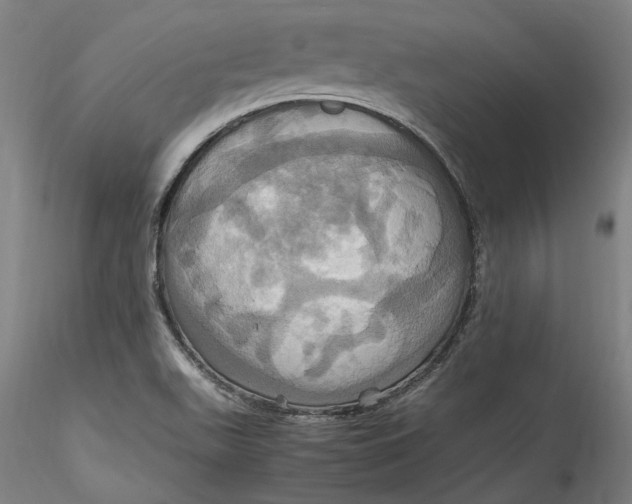 X0000115561511200911271445