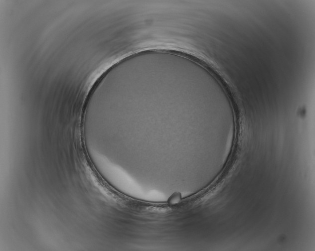 X0000115561513200911271445