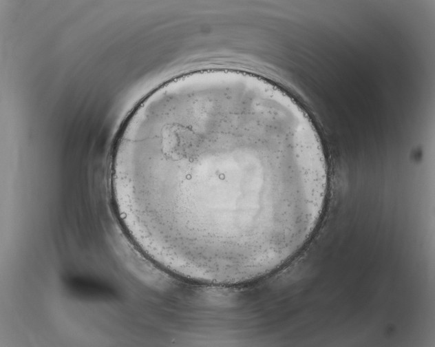 X0000115561514200911271445