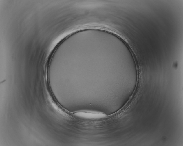 X0000115561515200911271445