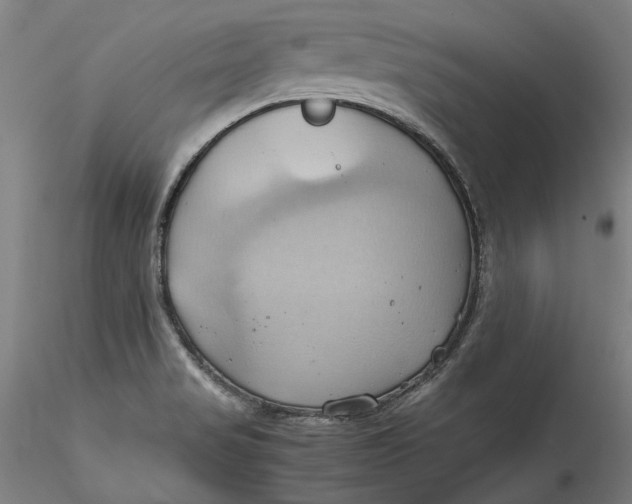 X0000115561517200911271445