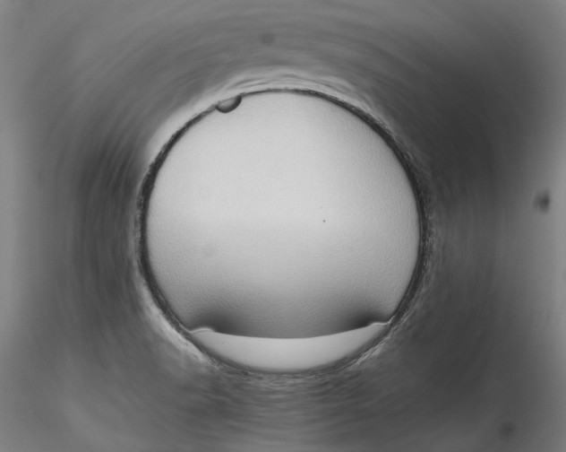 X0000115561518200911271445