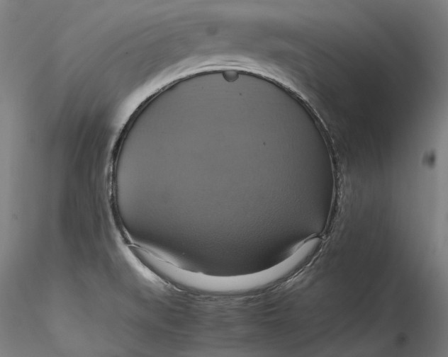 X0000115561519200911271445