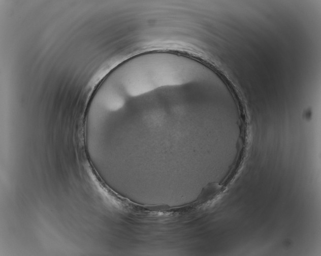 X0000115561521200911271445