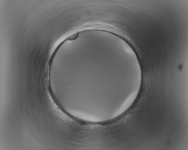 X0000115561522200911271445