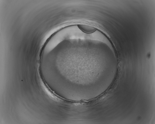 X0000115561523200911271445