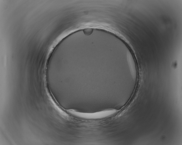 X0000115561525200911271445