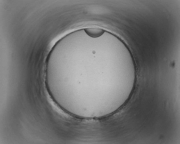 X0000115561526200911271445