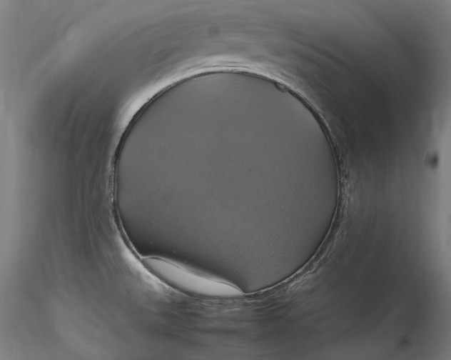 X0000115561527200911271445